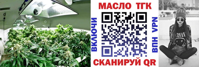 ТГК гашишное масло  купить наркоту  MEGA вход  Жуков 