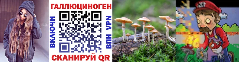 Галлюциногенные грибы Psilocybine cubensis  Жуков 